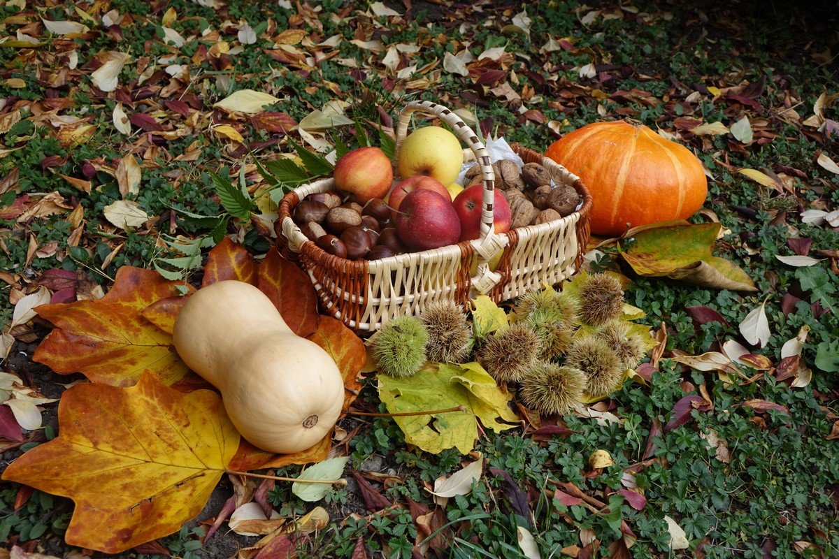 auvergne-saveurs-automne-potiron-châtaigne-noix-gastronomie-cuisine