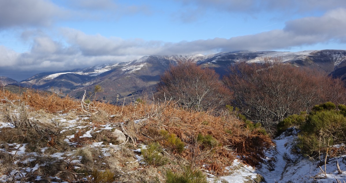 GR-elanceze-griou-hiver-massif-cantalien