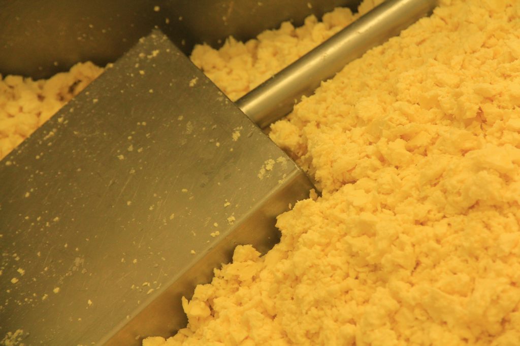 fabrication du fromage cantal à badailhac auvergne AOP